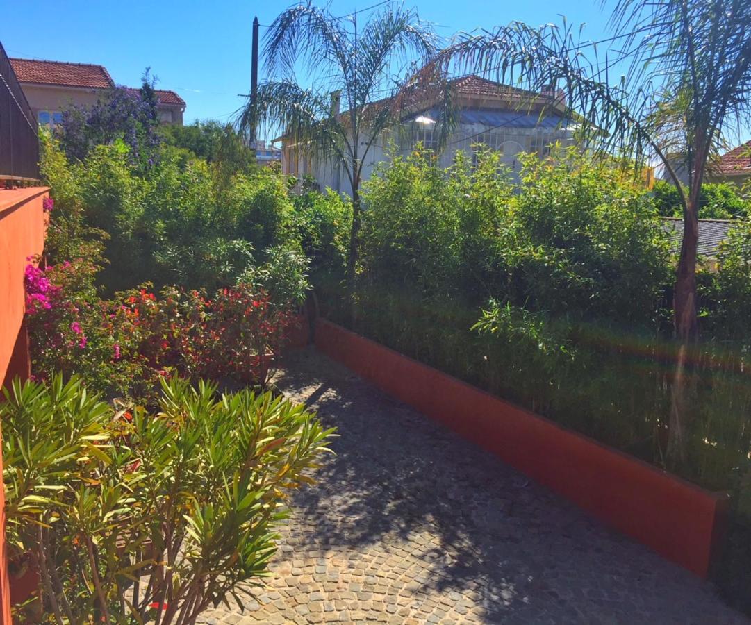 Villa Du Cros Кан сюр Мер Екстериор снимка